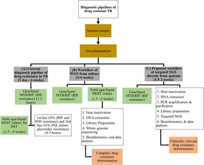 Application of Next Generation Sequencing for Diagnosis and Clinical Management of Drug-Resistant Tuberculosis: Updates on Recent Developments in the Field